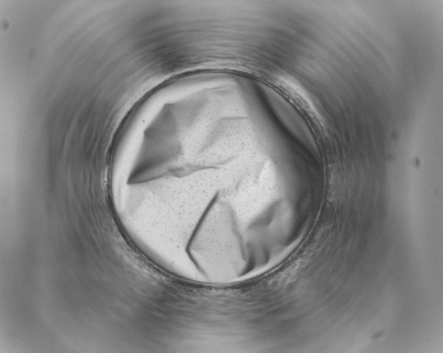 X0000088891284200706291430