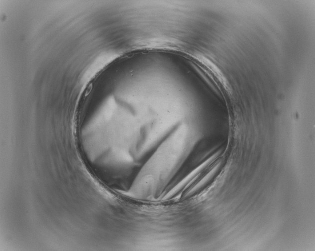 X0000088891285200706291430