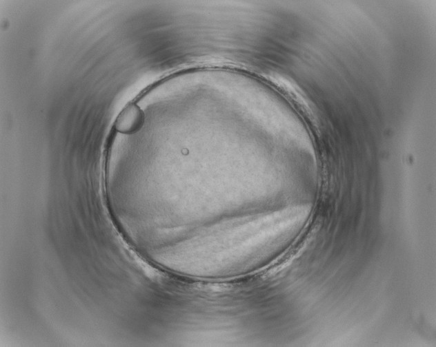 X0000088891286200706291430