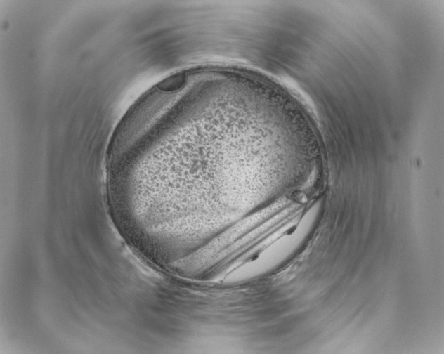 X0000088891287200706291430