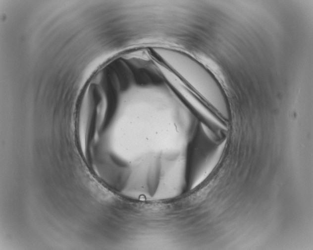 X0000088891288200706291430