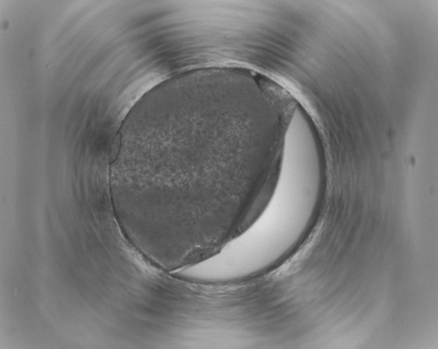 X0000088891289200706291430