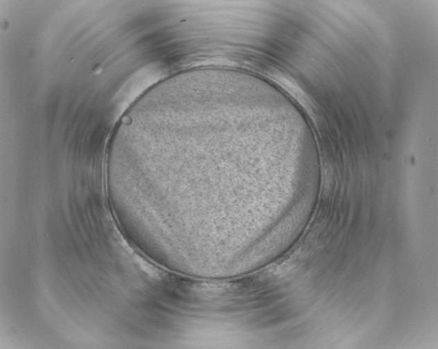 X0000088891290200706291430