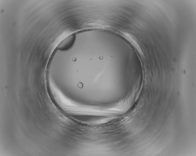 X0000088891291200706291430