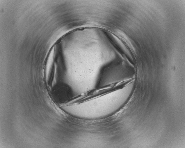 X0000088891292200706291430