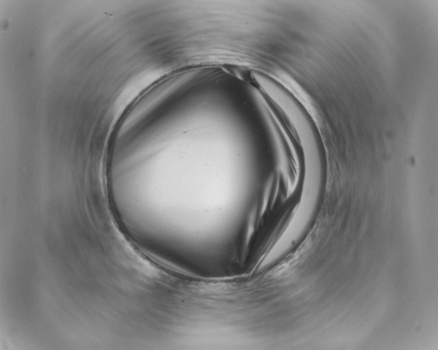 X0000088891293200706291430