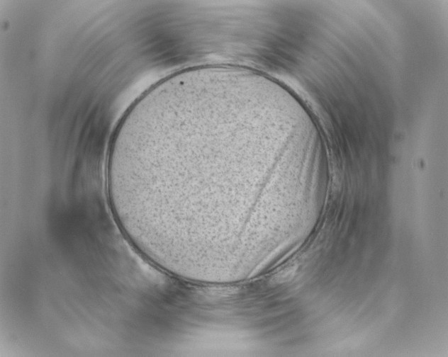 X0000088891294200706291430