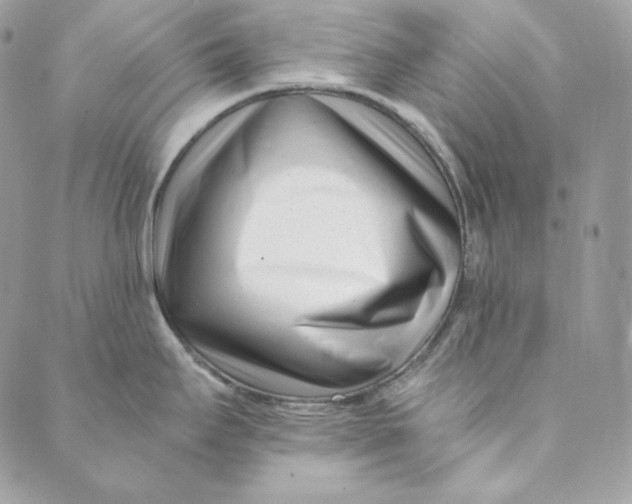 X0000088891295200706291430