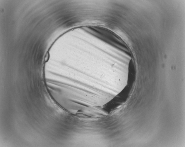 X0000088891296200706291430