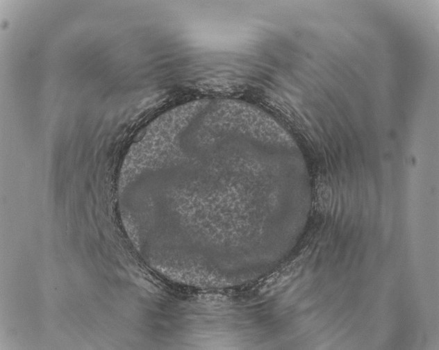 X0000088891297200706291429