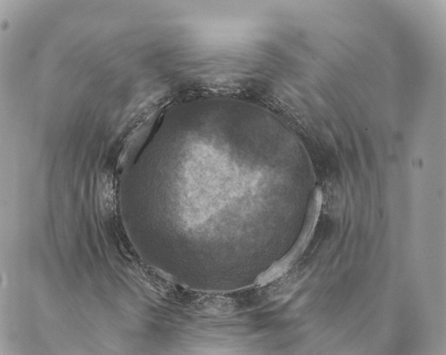 X0000088891298200706291430