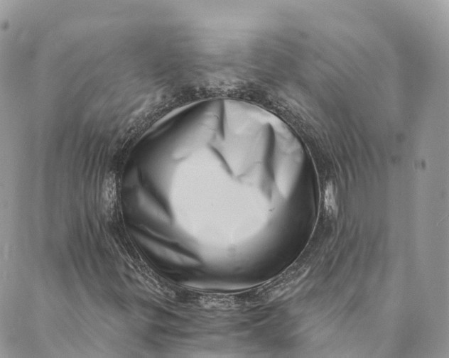 X0000088891299200706291430