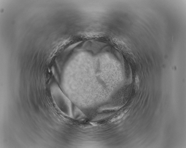 X0000088891300200706291430