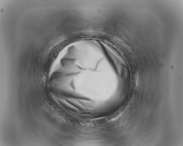 X0000088891302200706291430