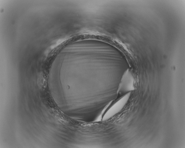 X0000088891303200706291430