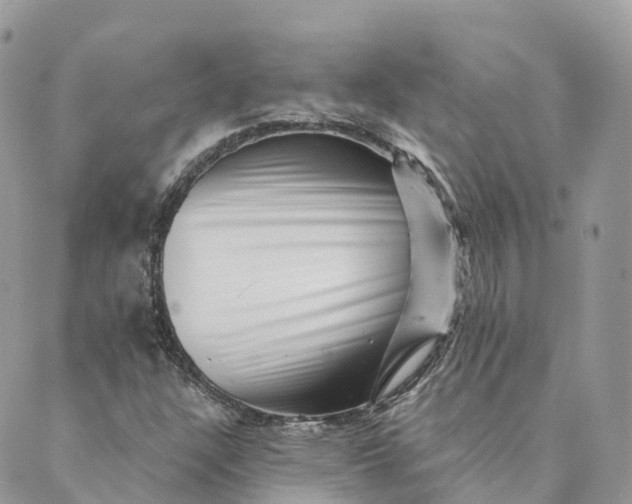 X0000088891304200706291430