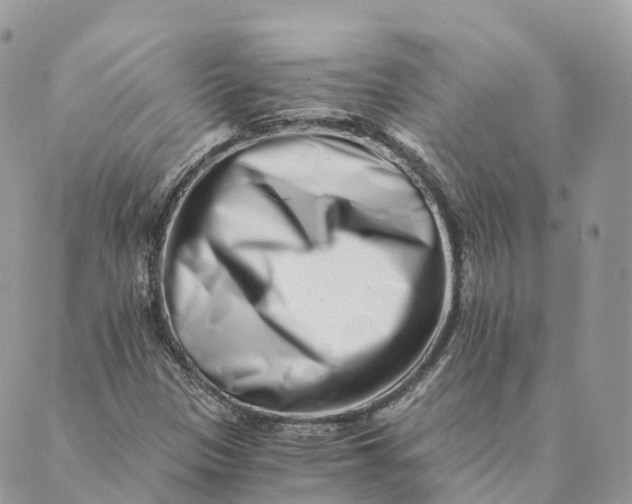 X0000088891305200706291430