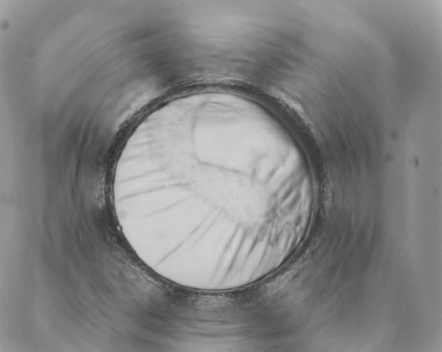 X0000088891306200706291430