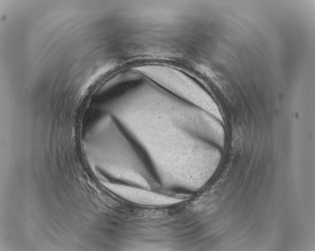 X0000088891307200706291430