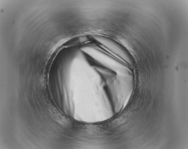 X0000088891308200706291430