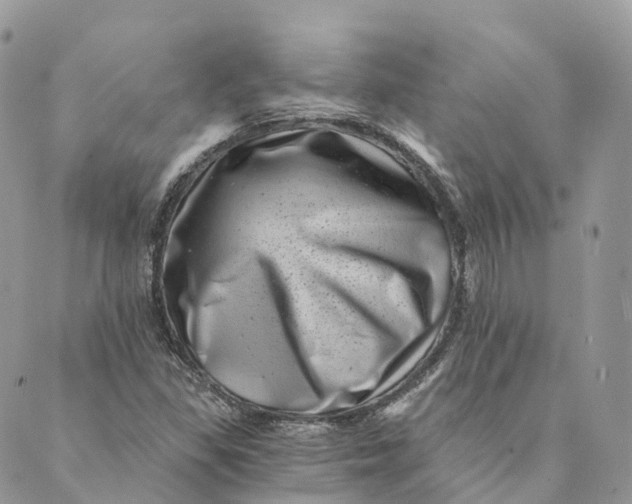 X0000088891309200706291430