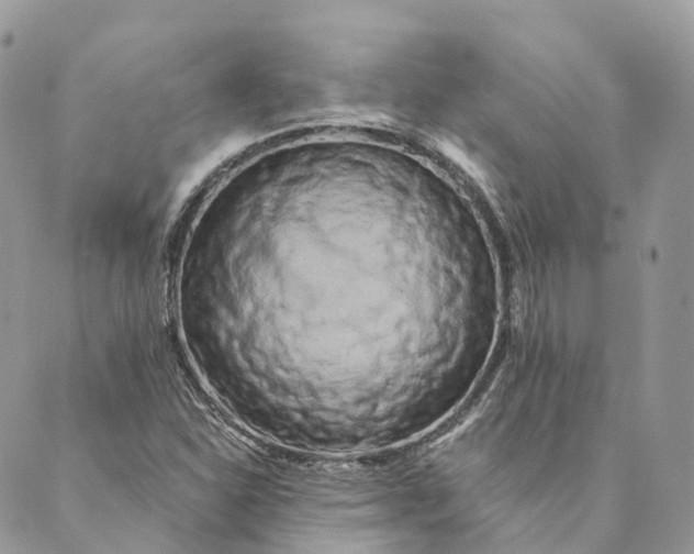 X0000088891310200706291430