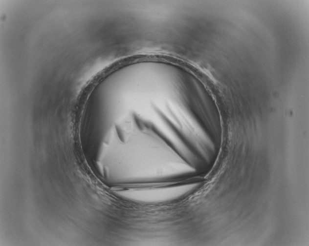 X0000088891311200706291430