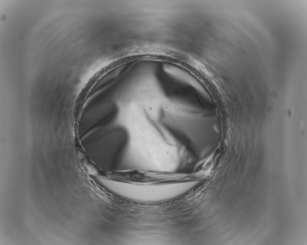 X0000088891312200706291430