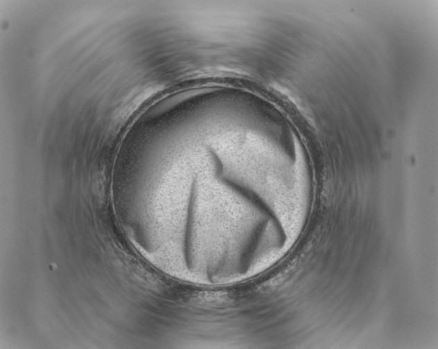 X0000088891313200706291430