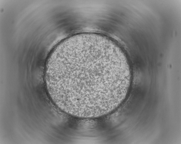 X0000088891314200706291430