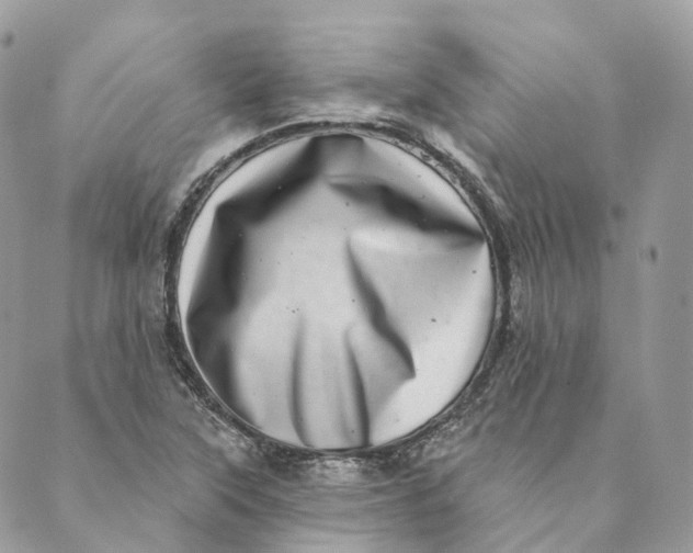 X0000088891315200706291430