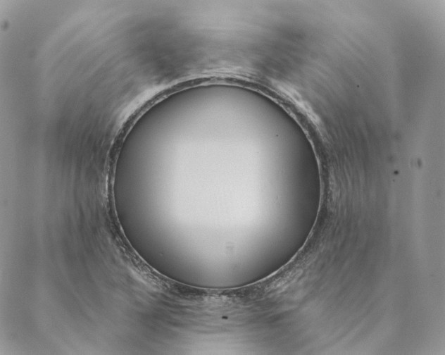 X0000088891316200706291430