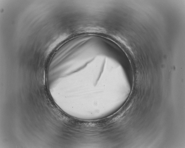 X0000088891317200706291430