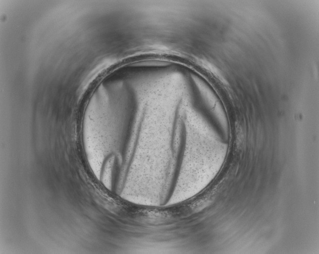 X0000088891318200706291430