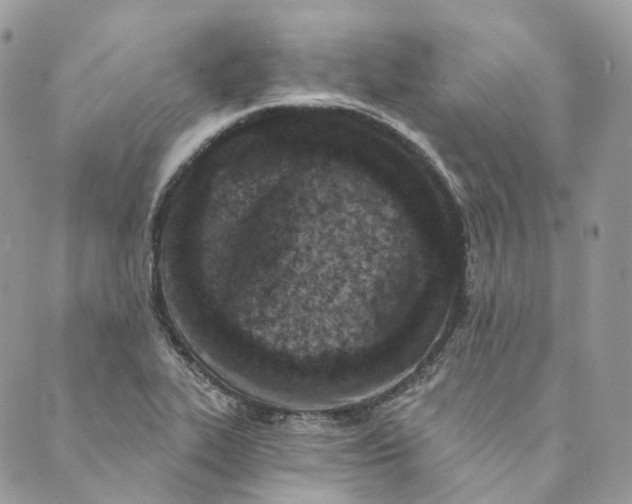 X0000088891319200706291430