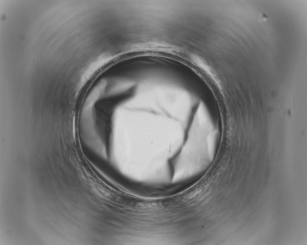 X0000088891320200706291430