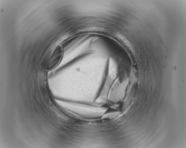 X0000088891321200706291430