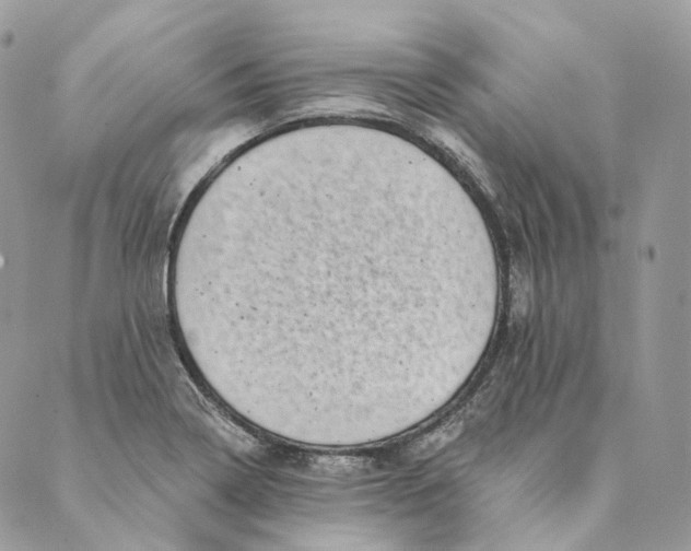 X0000088891322200706291430