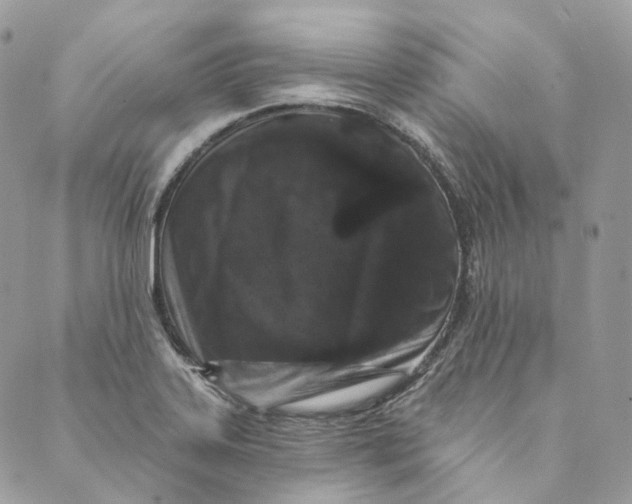 X0000088891323200706291430