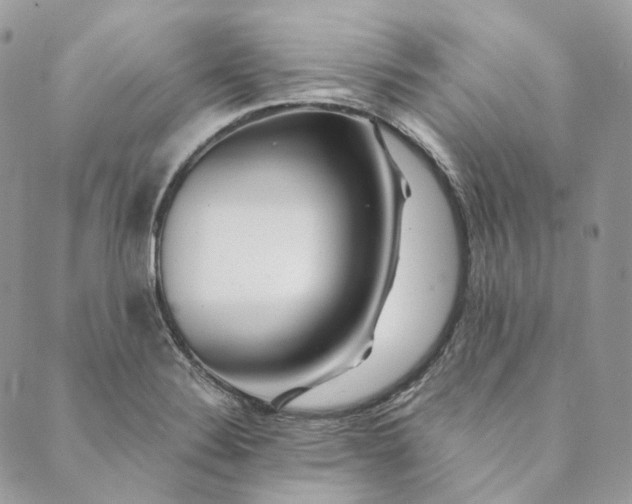 X0000088891324200706291430