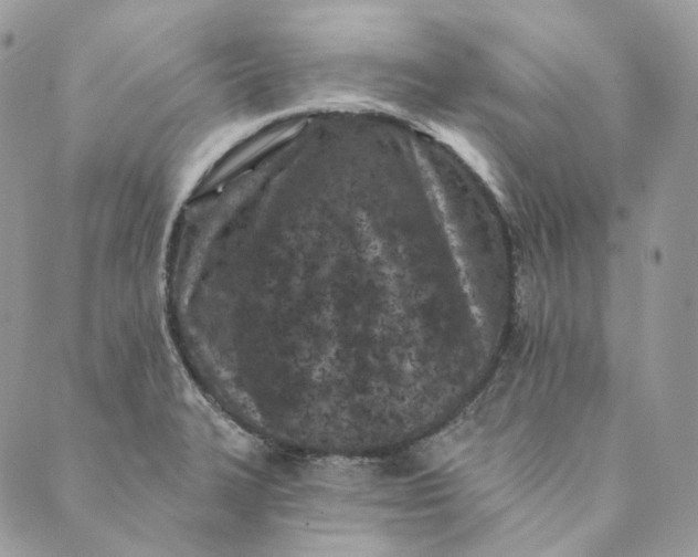 X0000088891327200706291430