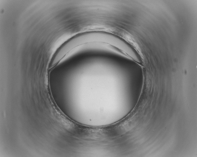 X0000088891328200706291430