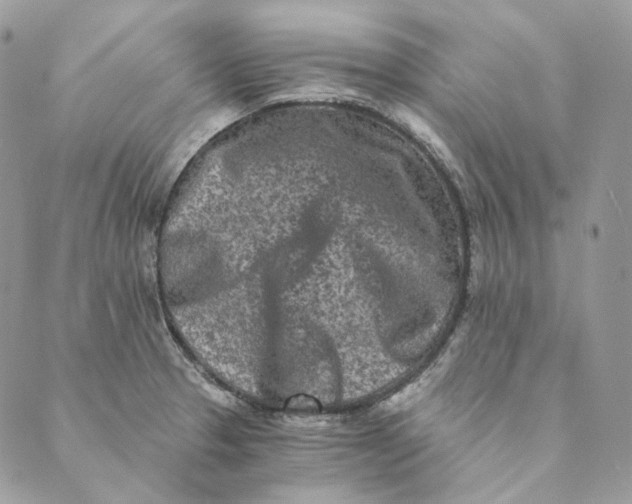 X0000088891329200706291430