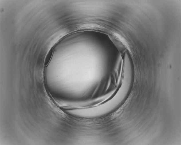 X0000088891330200706291430