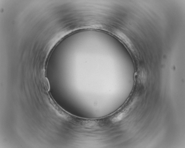 X0000088891332200706291430