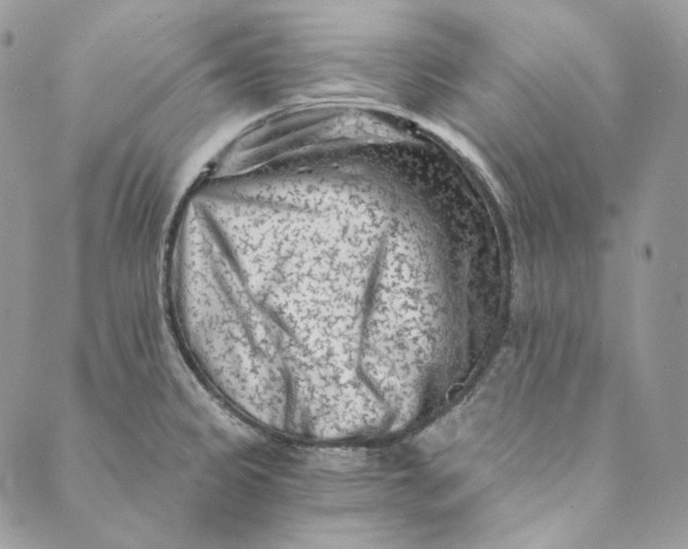 X0000088891333200706291430