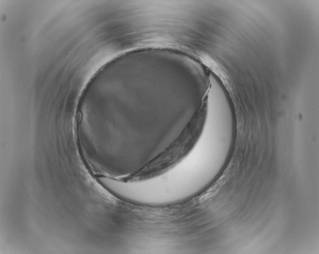 X0000088891334200706291430