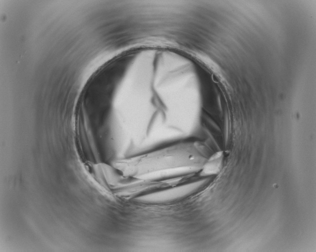 X0000088891335200706291430