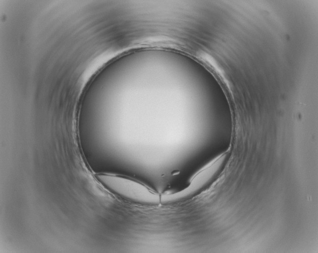 X0000088891336200706291430