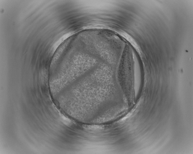 X0000088891337200706291430